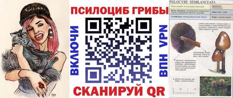 Галлюциногенные грибы прущие грибы  купить   Себеж 